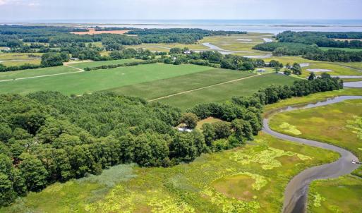 Photo #13 of 20F 1&2 FINNEY FARM DR, PARKSLEY, VA 10.1 acres