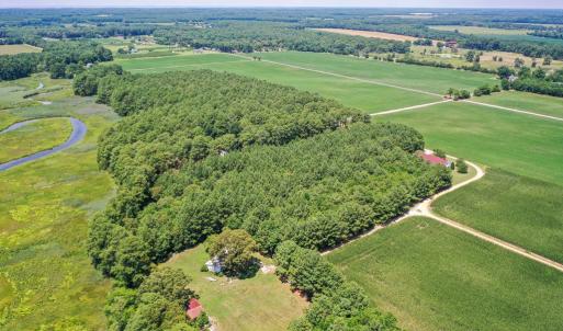 Photo #9 of 20F 1&2 FINNEY FARM DR, PARKSLEY, VA 10.1 acres