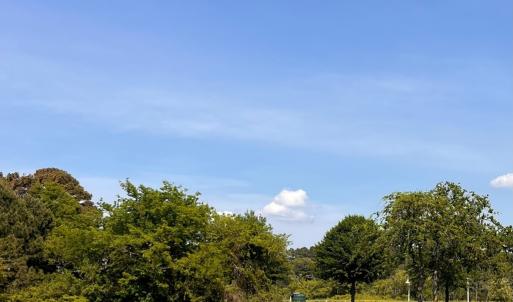 Photo #2 of Lot 149 KINGS CT, CAPE CHARLES, VA 0.2 acres