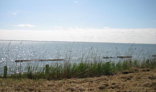 Photo #2 of 748 SEAVIEW ST, GREENBACKVILLE, VA 50.0 acres