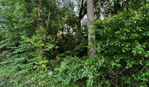Photo #3 of LOT#42 KELLER POND RD, PAINTER, VA 9.9 acres