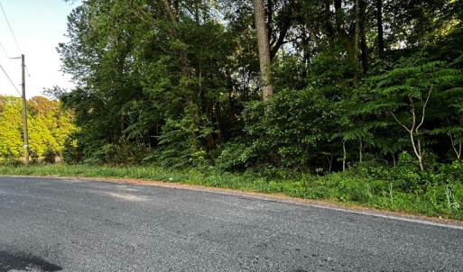 Photo #4 of LOT#42 KELLER POND RD, PAINTER, VA 9.9 acres