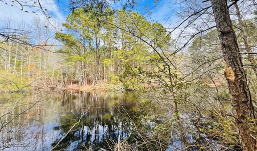 Photo #4 of Lot 24 PEACEFUL LAKES DR, FRANKTOWN, VA 1.6 acres