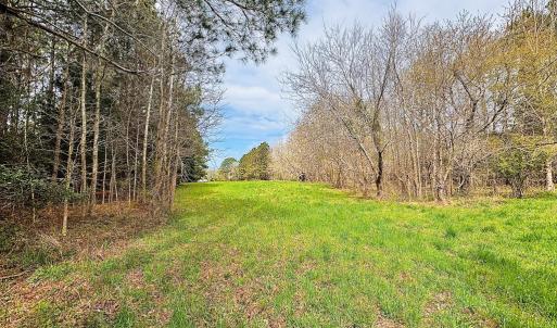 Photo #5 of Lot 24 PEACEFUL LAKES DR, FRANKTOWN, VA 1.6 acres