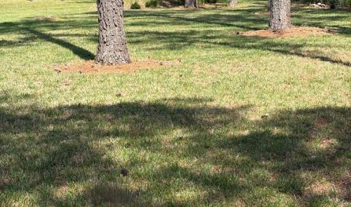 Photo #16 of 21302 WISE POINT LN, ONANCOCK, VA 22.4 acres