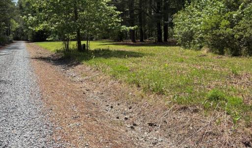 Photo #17 of 21302 WISE POINT LN, ONANCOCK, VA 22.4 acres