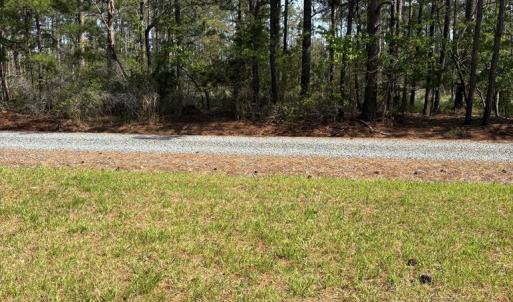 Photo #20 of 21302 WISE POINT LN, ONANCOCK, VA 22.4 acres