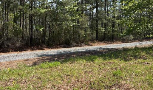 Photo #22 of 21302 WISE POINT LN, ONANCOCK, VA 22.4 acres
