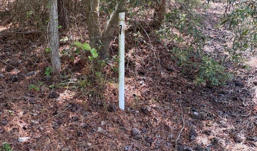 Photo #25 of 21302 WISE POINT LN, ONANCOCK, VA 22.4 acres