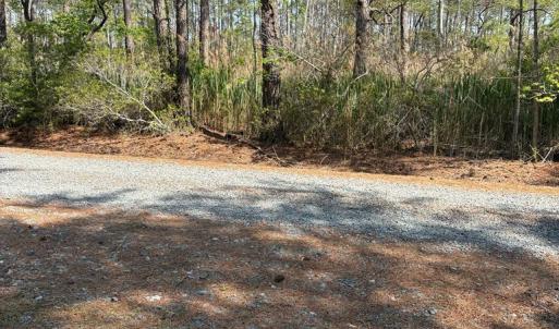 Photo #27 of 21302 WISE POINT LN, ONANCOCK, VA 22.4 acres