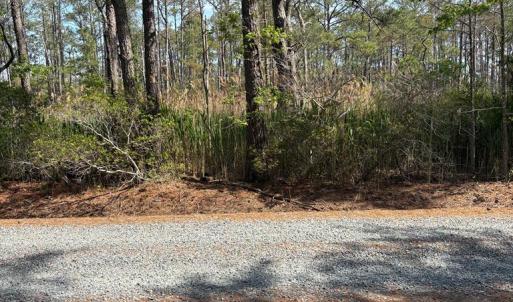 Photo #28 of 21302 WISE POINT LN, ONANCOCK, VA 22.4 acres