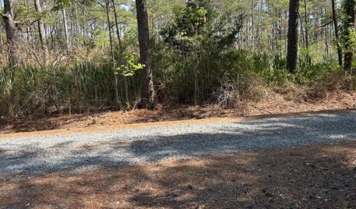 Photo #29 of 21302 WISE POINT LN, ONANCOCK, VA 22.4 acres