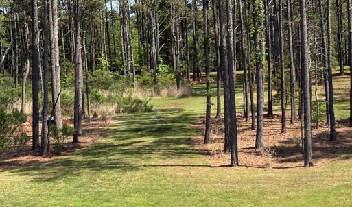 Photo #32 of 21302 WISE POINT LN, ONANCOCK, VA 22.4 acres