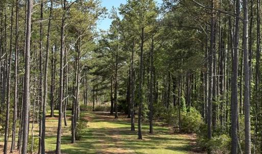 Photo #35 of 21302 WISE POINT LN, ONANCOCK, VA 22.4 acres
