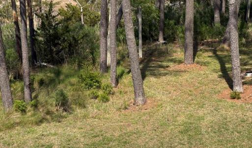 Photo #44 of 21302 WISE POINT LN, ONANCOCK, VA 22.4 acres