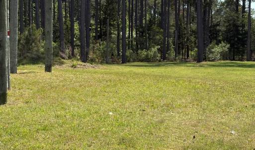 Photo #47 of 21302 WISE POINT LN, ONANCOCK, VA 22.4 acres
