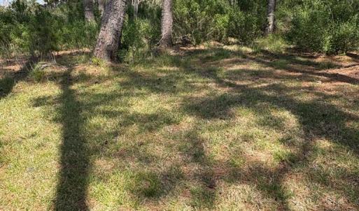 Photo #48 of 21302 WISE POINT LN, ONANCOCK, VA 22.4 acres