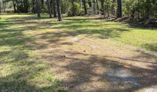 Photo #49 of 21302 WISE POINT LN, ONANCOCK, VA 22.4 acres