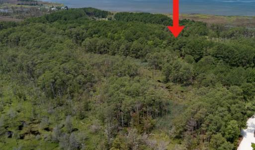 Photo #5 of 21302 WISE POINT LN, ONANCOCK, VA 22.4 acres