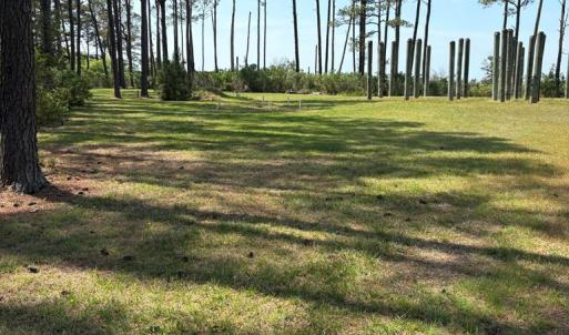 Photo #51 of 21302 WISE POINT LN, ONANCOCK, VA 22.4 acres