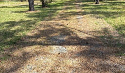 Photo #52 of 21302 WISE POINT LN, ONANCOCK, VA 22.4 acres