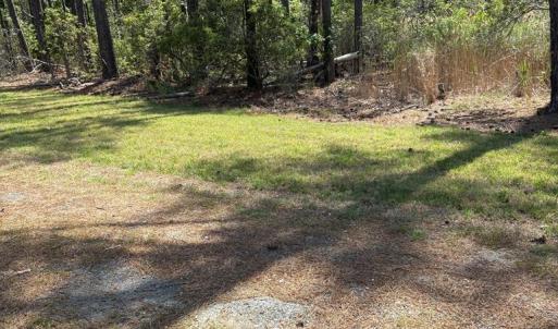 Photo #54 of 21302 WISE POINT LN, ONANCOCK, VA 22.4 acres