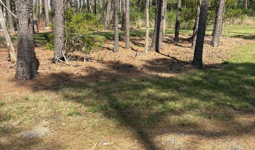 Photo #55 of 21302 WISE POINT LN, ONANCOCK, VA 22.4 acres