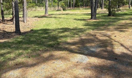 Photo #56 of 21302 WISE POINT LN, ONANCOCK, VA 22.4 acres