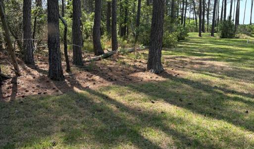 Photo #59 of 21302 WISE POINT LN, ONANCOCK, VA 22.4 acres