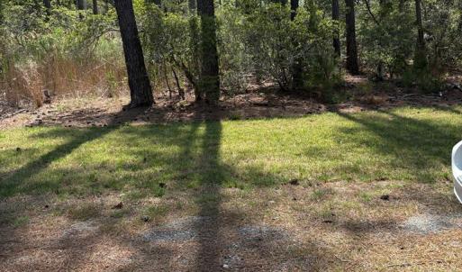 Photo #60 of 21302 WISE POINT LN, ONANCOCK, VA 22.4 acres
