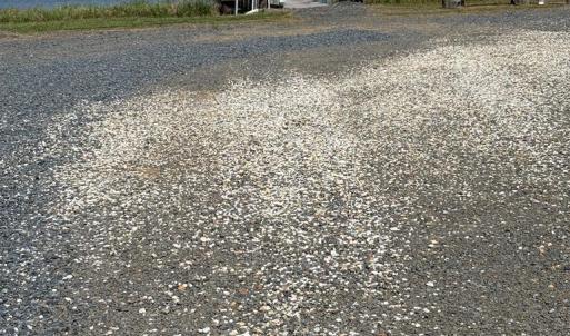 Photo #8 of 21302 WISE POINT LN, ONANCOCK, VA 22.4 acres