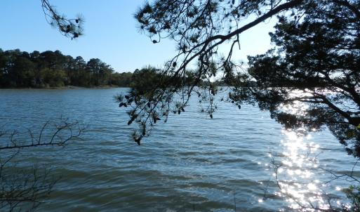 Photo #7 of lot 6 BARLOW CREEK LN., EASTVILLE, VA 6.9 acres