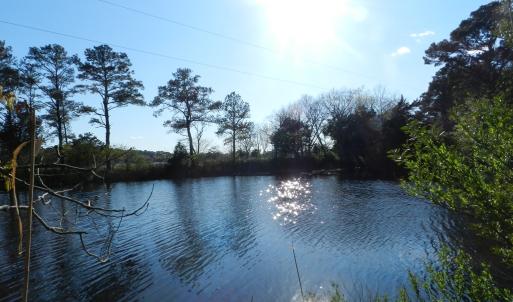 Photo #10 of lot 6 BARLOW CREEK LN., EASTVILLE, VA 6.9 acres