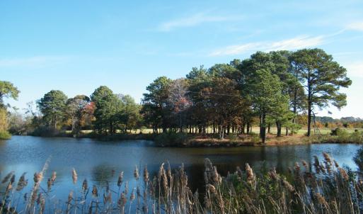 Photo #11 of lot 6 BARLOW CREEK LN., EASTVILLE, VA 6.9 acres