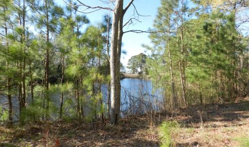 Photo #12 of lot 6 BARLOW CREEK LN., EASTVILLE, VA 6.9 acres