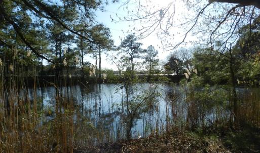 Photo #13 of lot 6 BARLOW CREEK LN., EASTVILLE, VA 6.9 acres