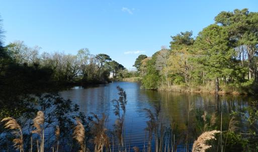 Photo #14 of lot 6 BARLOW CREEK LN., EASTVILLE, VA 6.9 acres