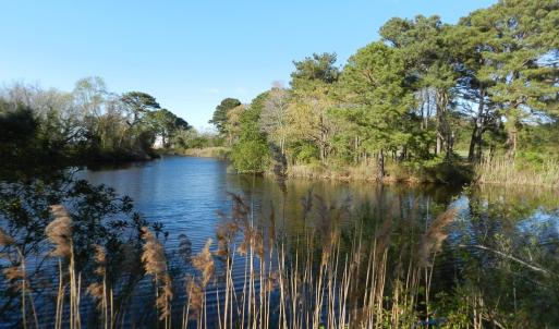 Photo #15 of lot 6 BARLOW CREEK LN., EASTVILLE, VA 6.9 acres