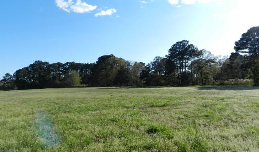 Photo #17 of lot 6 BARLOW CREEK LN., EASTVILLE, VA 6.9 acres