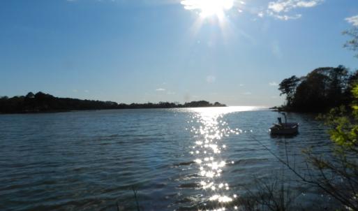 Photo #5 of lot 6 BARLOW CREEK LN., EASTVILLE, VA 6.9 acres