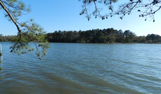 Photo #6 of lot 6 BARLOW CREEK LN., EASTVILLE, VA 6.9 acres