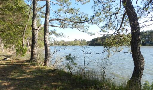 Photo #8 of lot 6 BARLOW CREEK LN., EASTVILLE, VA 6.9 acres