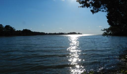 Photo #9 of lot 6 BARLOW CREEK LN., EASTVILLE, VA 6.9 acres