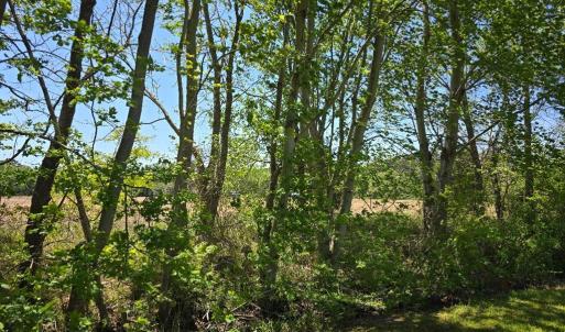 Photo #2 of DUNCAN DR, MAPPSVILLE, VA 12.3 acres