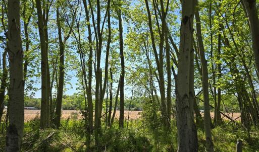 Photo #3 of DUNCAN DR, MAPPSVILLE, VA 12.3 acres