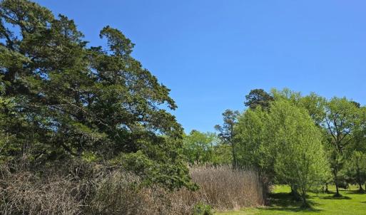 Photo #3 of GUILFORD RD, BLOXOM, VA 20.5 acres