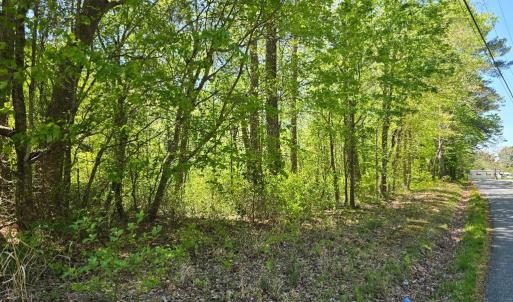 Photo #2 of WINTERVILLE RD, BLOXOM, VA 20.5 acres