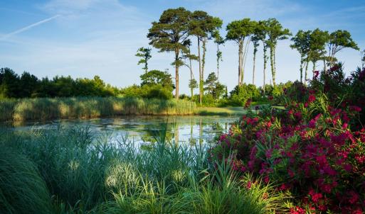 Photo #13 of 232 MUIRFIELD DRIVE, CAPE CHARLES, VA 0.3 acres