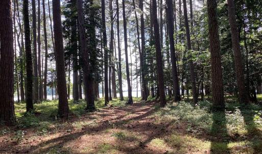 Photo #10 of A6B WHITE TAIL LANE, MACHIPONGO, VA 2.5 acres
