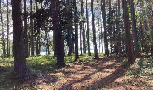 Photo #11 of A6B WHITE TAIL LANE, MACHIPONGO, VA 2.5 acres